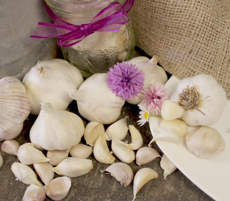 Organic Inchelium Red Bulk (Artichoke)