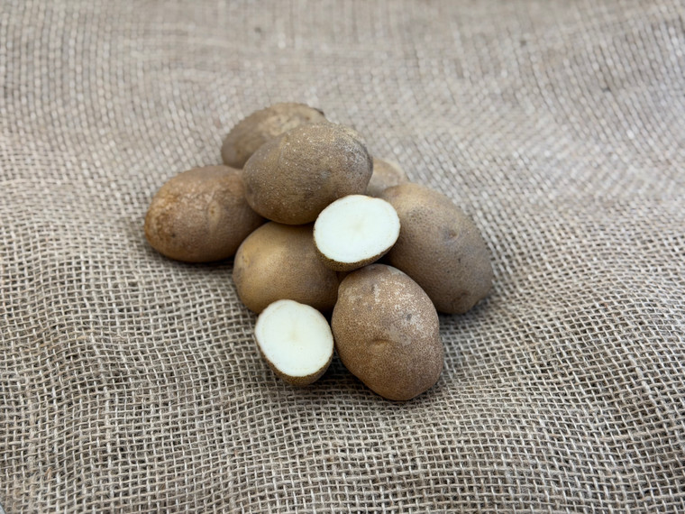 Organic Russet Burbank Potato