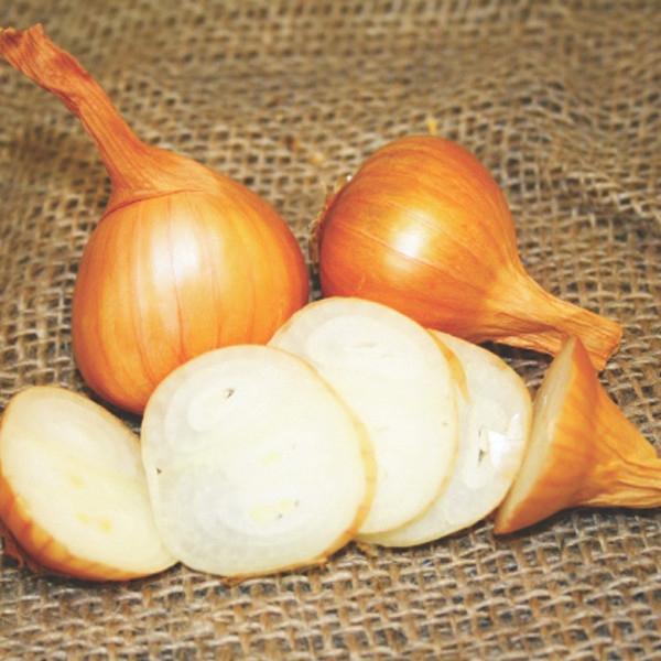 Organic Yellow potato onion