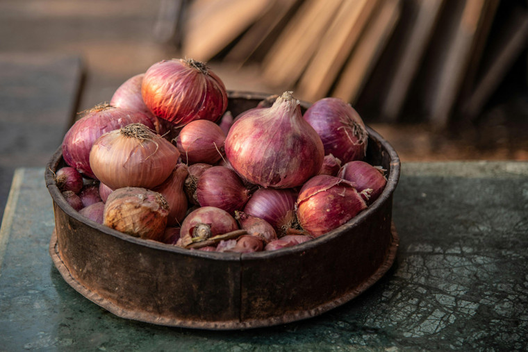 Organic Food Grade: Dutch Red Shallot