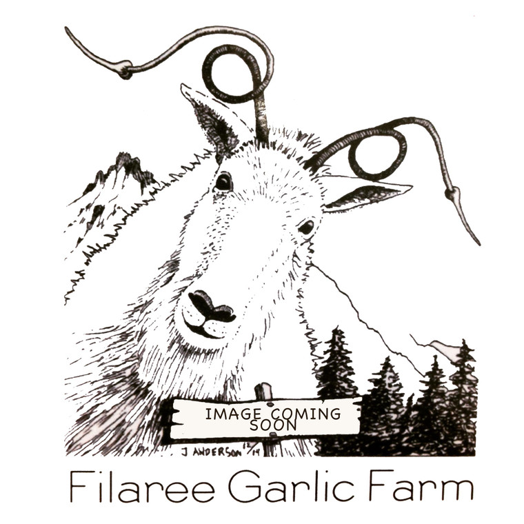 Klamath WILD ORGANIC GARLIC SEED | FILAREE ORGANIC GARLIC FARM