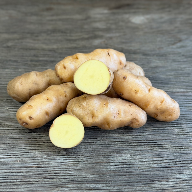 Organic Makah Ozette Fingerling