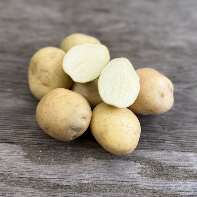 Organic Early Ohio Potato