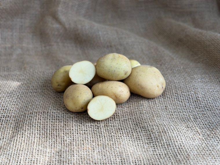 Organic Bake King Potato