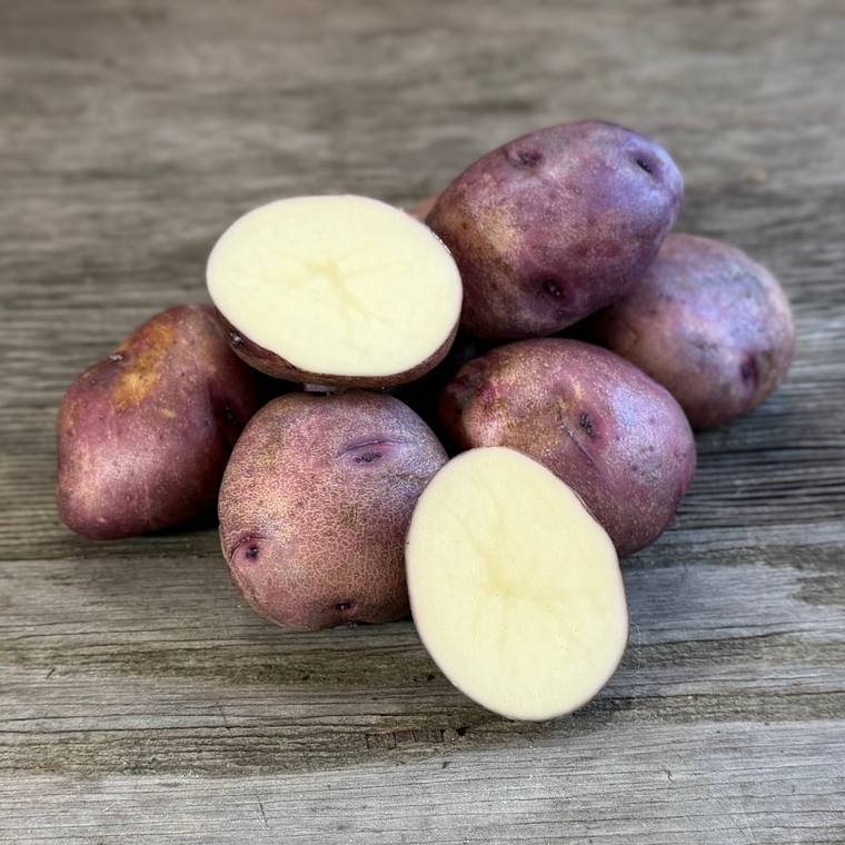 Organic Caribe Potato