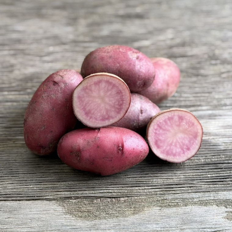 Organic Red Thumb Fingerling