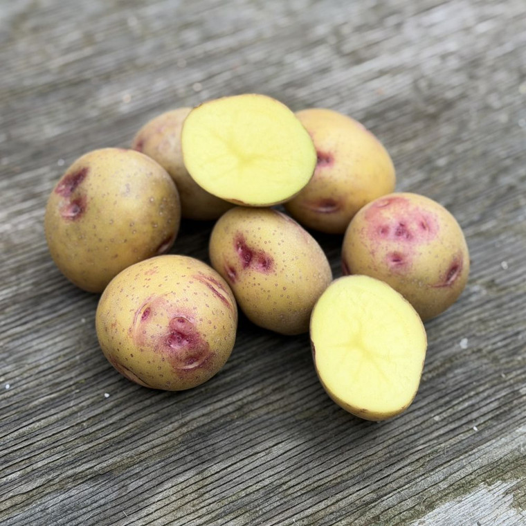 Organic Smilin' Eyes Potato