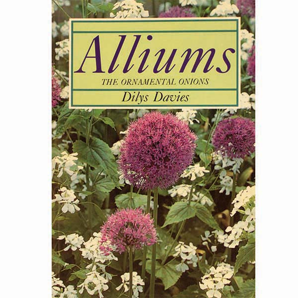 Alliums Ornamental Onions