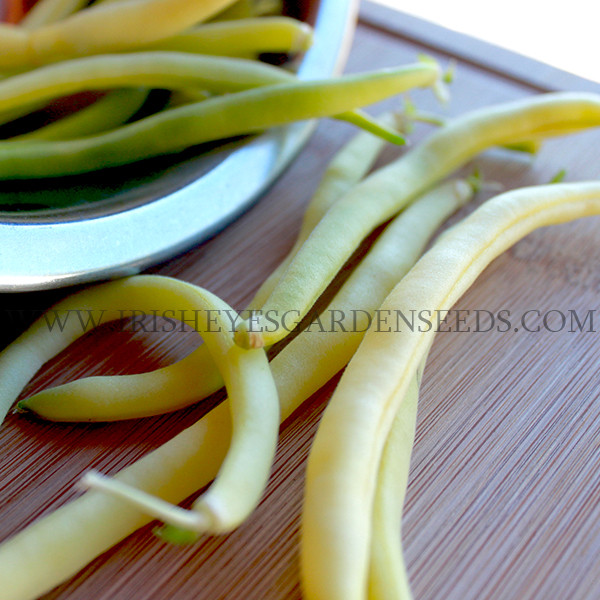 Organic Golden Wax Bush Bean