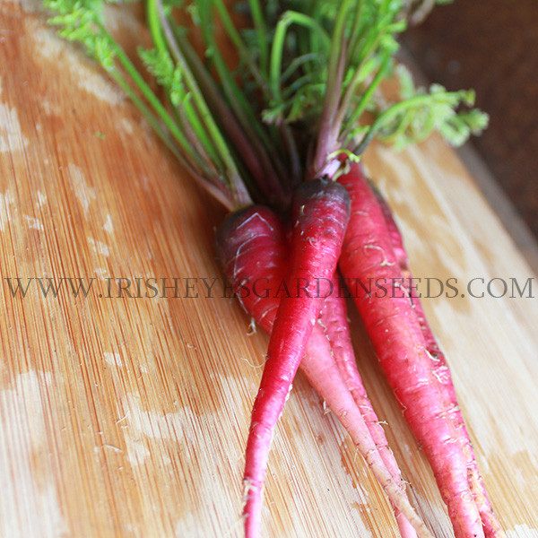 Organic Atomic Red Carrot