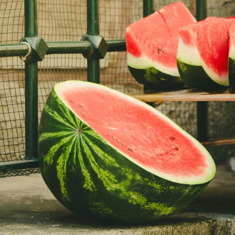 Organic Crimson Sweet Watermelon