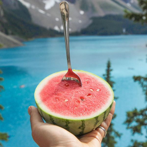 Organic Sugar Baby Watermelon