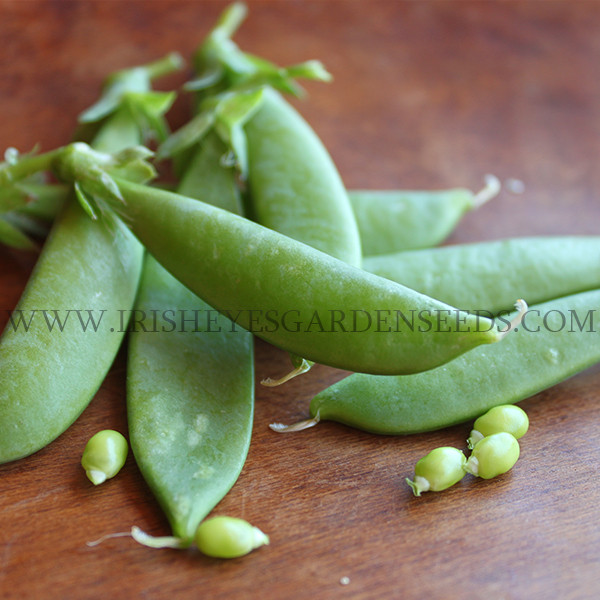 Organic Sugar Ann Snap Pea