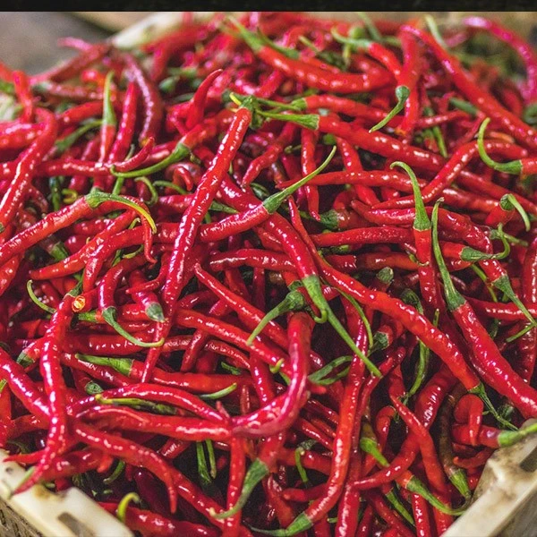 Organic Cayenne Long Red Pepper