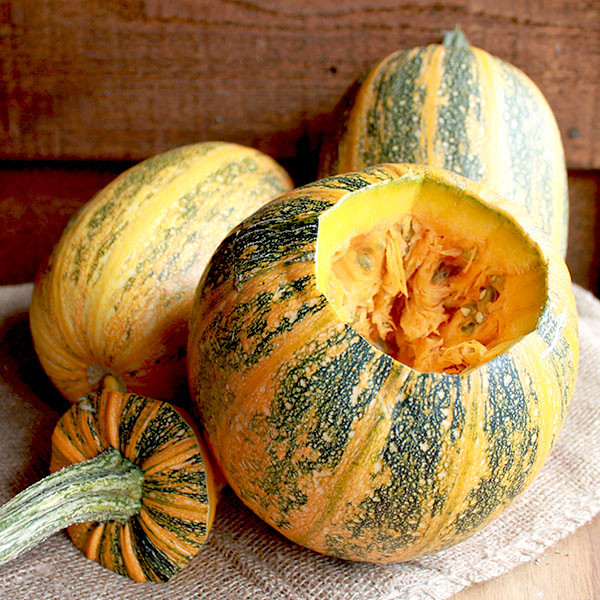 Organic Lady Godiva Pumpkin