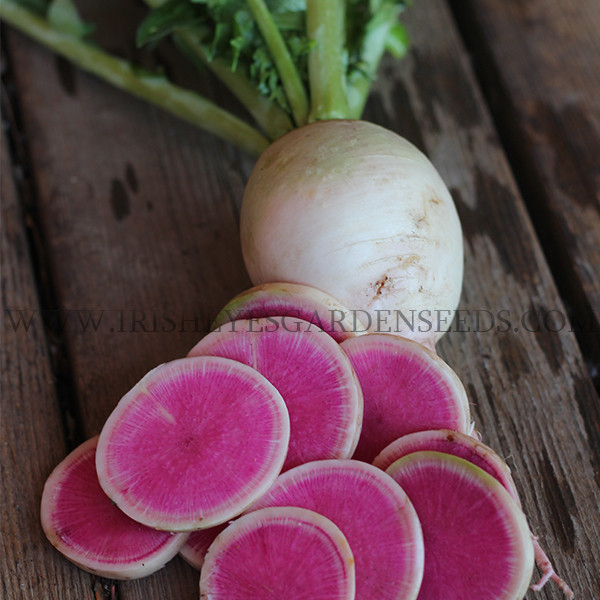 Organic Watermelon Radish