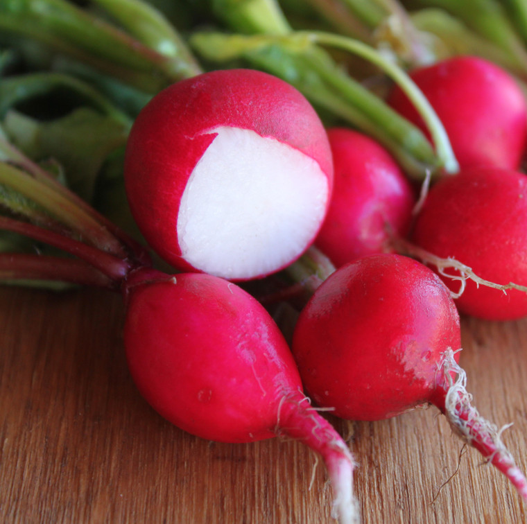 Organic Crimson Giant Radish