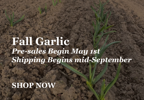 fall-garlic-banner.gif