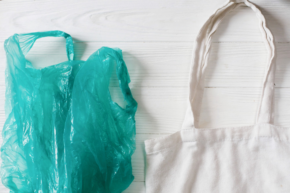 WHY YOU SHOULD SWAP PLASTIC BAGS FOR CANVAS TOTE BAGS