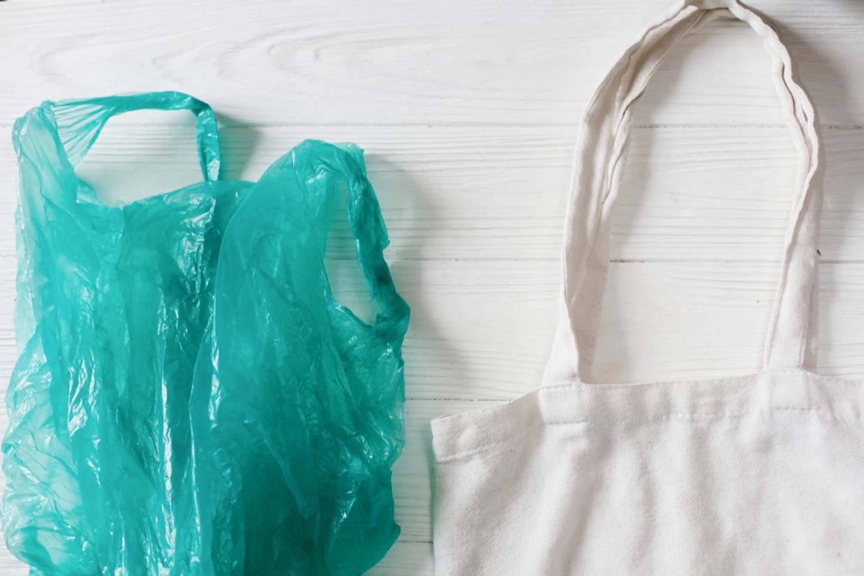WHY YOU SHOULD SWAP PLASTIC BAGS FOR CANVAS TOTE BAGS WHY YOU SHOULD SWAP PLASTIC BAGS FOR CANVAS TOTE BAGS