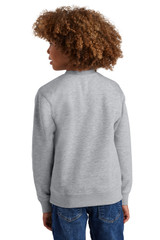District Youth V.I.T. Fleece Crew DT6104Y