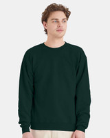 Hanes Unisex EcoSmart® Crewneck Sweatshirt - P160  Hanes Unisex EcoSmart® Crewneck Sweatshirt - P160