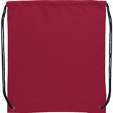 Oriole Drawstring Bag