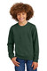 District Youth V.I.T. Fleece Crew DT6104Y