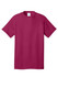 Port & Co Core Cotton Tee. PC54