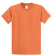 Port & Co Essential Tee. PC61
