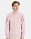 Hanes Unisex EcoSmart® Crewneck Sweatshirt - P160  Hanes Unisex EcoSmart® Crewneck Sweatshirt - P160