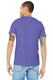 Bella + Canvas BELLA+CANVAS Unisex Heather CVC Short Sleeve Tee. BC3001CVC 