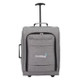 Graphite 20" Upright Luggage