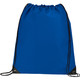 Large Oriole Drawstring Bag