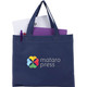 Mini Non-Woven Heat Sealed Tote