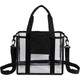  Small Clear Stadium Tote 