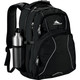  High Sierra Swerve 17" Computer Backpack 