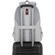 Swiss Gear Frost Peak Computer Backpack