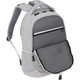 Swiss Gear Frost Peak Computer Backpack