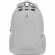 Swiss Gear Frost Peak Computer Backpack