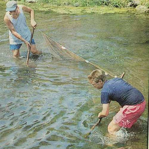 Douglas Minnow Seine Fishing Bait Net - Mudd Creek