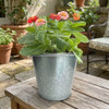 Potting Shed Creations Kids Garden in a Pail, Butterfly
