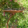  Zaer Ltd. International Shallow Copper-Finish Birdbath on Branch Stand