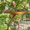  Zaer Ltd. International Shallow Copper-Finish Birdbath on Branch Stand
