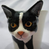 Sea Island Imports Stoneware 8-Oz Mug, Tuxedo Cat