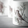 Sullivans 5" Spring Print Decorative Pots, Set of 3