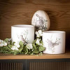 Sullivans 5" Spring Print Decorative Pots, Set of 3