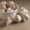 Fox Run Mushroom Brush