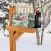 Winter Birds MailWrap Mailbox Cover 
