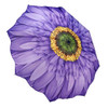 Galleria Enterprises Wisteria Daisy Folding Umbrella, Reverse Close  Galleria Enterprises Wisteria Daisy Folding Umbrella, Reverse Close